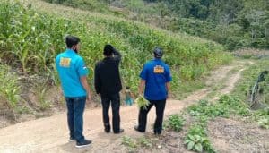 Masyarakat Gampong Pepelah Taubat Menanam Ganja