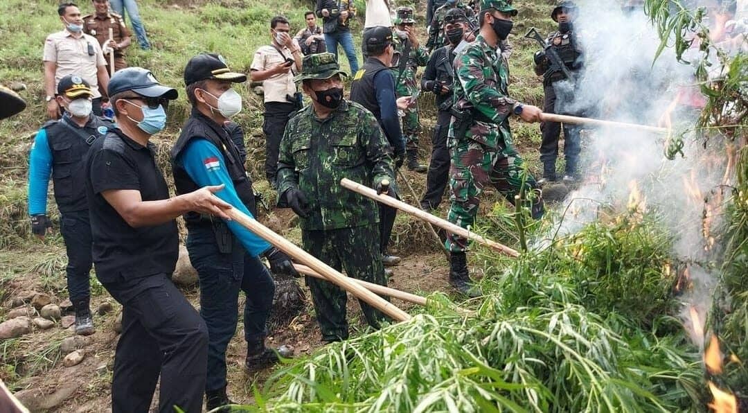 KEPALA BNN RI PIMPIN PEMUSNAHAN 9 HEKTAR LADANG GANJA DI ACEH UTARA