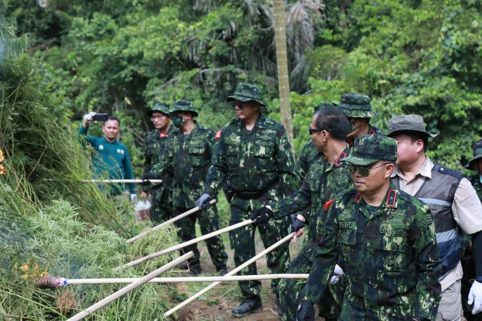 TUJUH JENDERAL BNN RI TURUN KE LADANG GANJA