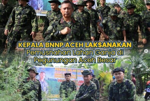 Bulan Ramadhan, BNNP Aceh Lakukan Pemusnahan Lahan Ganja di Pegunungan Aceh Besar