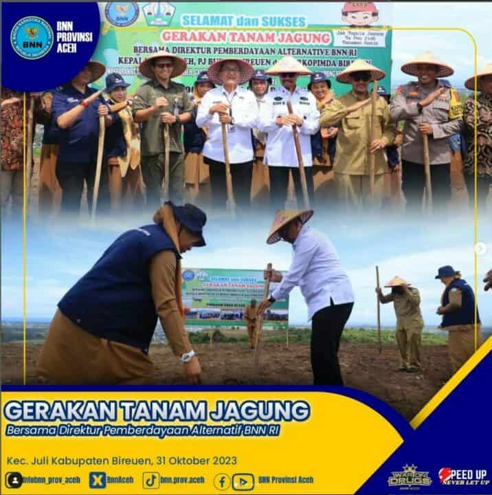 Gerakan Tanam Jagung