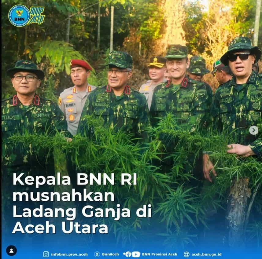 Kepala BNN RI Musnahkan Ganja di Aceh Utara